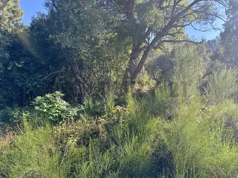 PASEO DEL PIONERO 100, Piso 0