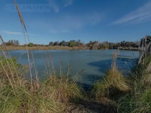 Terreno en Pilara, La Diligencia