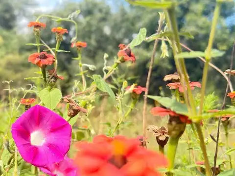 VENTA LOTE 428m² VILLA GIARDINO VISTA SERRANA