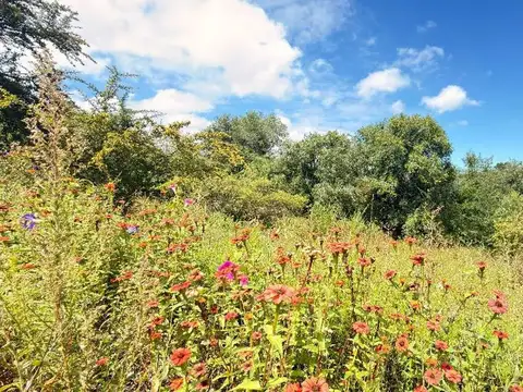 Terreno en Venta en Villa Giardino, USD 10.000