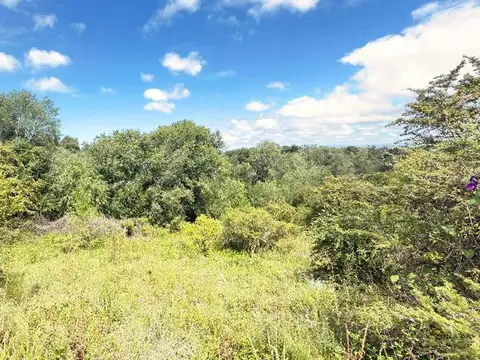 Terreno en Venta de 428,0 m2