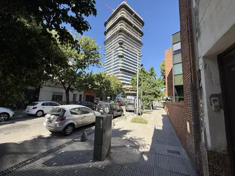 Báez 100
