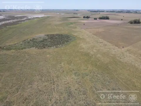 Campo en venta mixto de 72 has en Saladillo. A 3000 mts de Ruta