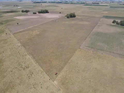 Campo Mixto de 72 has en  Saladillo