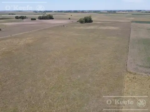 Campo en venta mixto de 72 has en Saladillo. A 3000 mts de Ruta