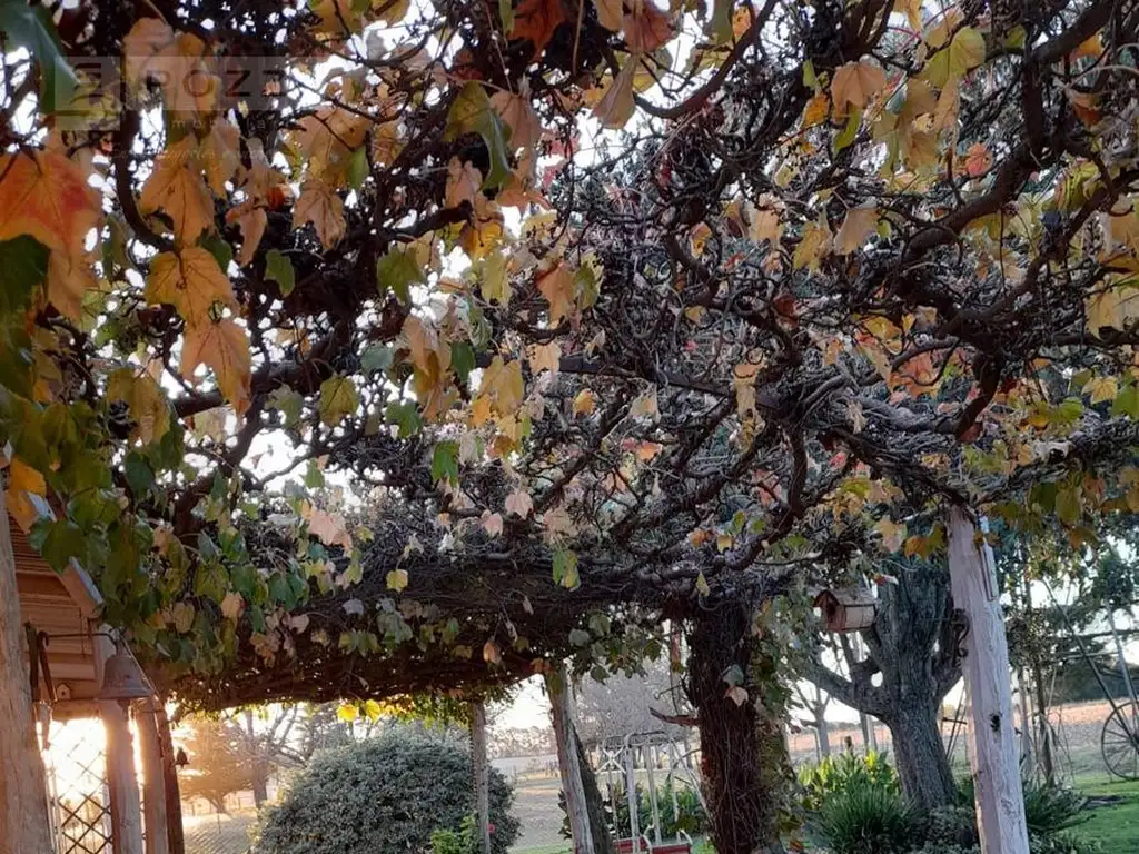 Terreno en Baradero