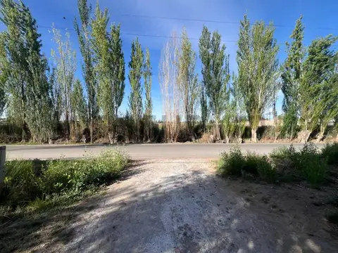 Century21Lopez Vende Terreno de 3600mts en Corralitos Guaymallen