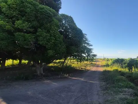 Finca 57ha. Palmira - San Martín