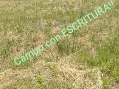 IMPONENTE CAMPO DE SEIS HECTAREAS