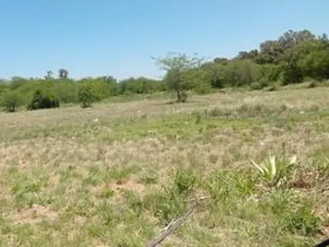 IMPONENTE CAMPO DE SEIS HECTAREAS