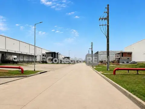 Depósito 18.000 m² a estrenar en Alquiler - Parque Industrial Reconquista
