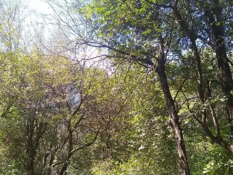 VENTA-GRAN LOTE EN RIO CEBALLOS-2.6 HAS.