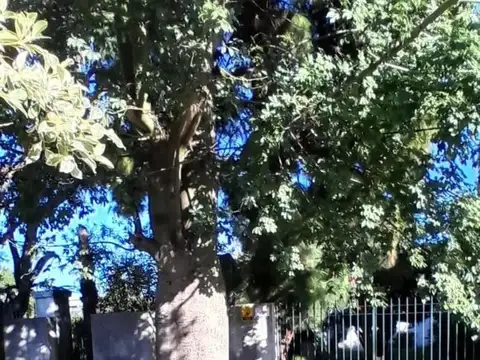 Terreno en Venta en Ringuelet, USD 55.000