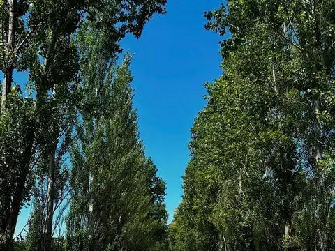 VENTA LOTE EN ESTANCIA LAS MALVINAS