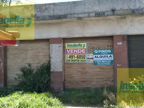 Local - Mar Del Plata