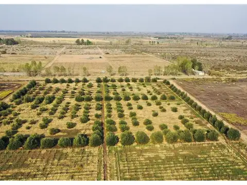 Quinta en Venta en Lavalle Villa Tulumaya, USD 260.000