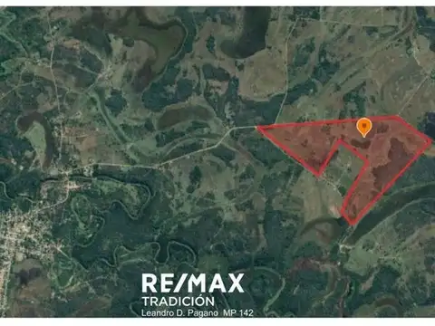 CAMPO MIXTO EN VENTA – 105 HAS-MONGAY, LAS PALMAS
