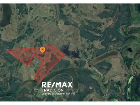 CAMPO MIXTO EN VENTA – 105 HAS-MONGAY, LAS PALMAS