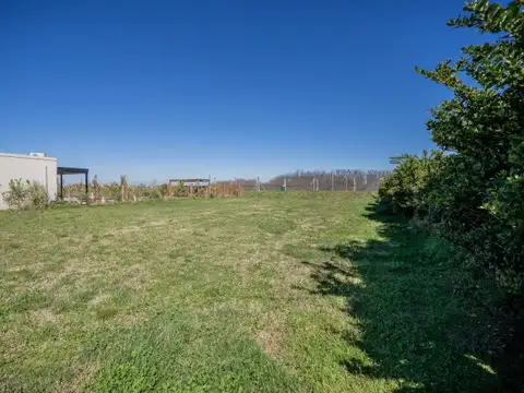 San Sebastián, Área 9 ( Zelaya, Pilar)