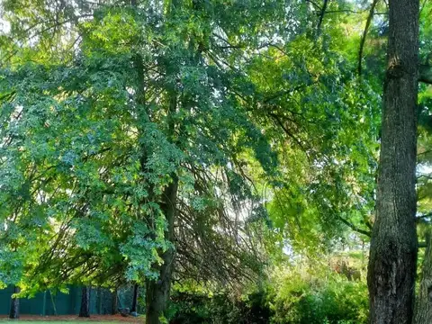 Casa en venta, barrio privado Saint Thomas