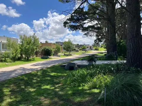 Terreno en Venta de 1000,0 m2