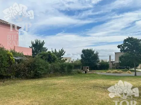 El Canton Golf 1000