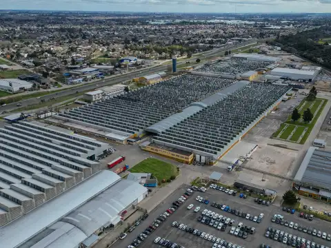 Alquiler - Depósito - 7000 m2 - Berazategui - CIR2