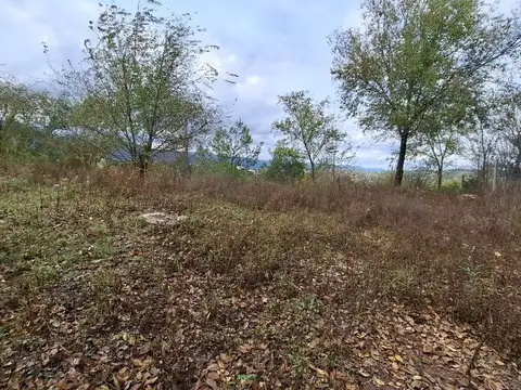 Las Flores esq. Leopoldo Lugones