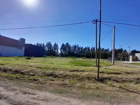 509 y 139