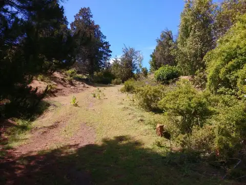 El Hoyo