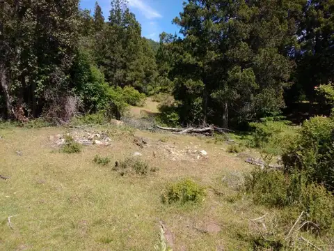 FRACCIÓN DE 7,36 has EN EL HOYO CHUBUT