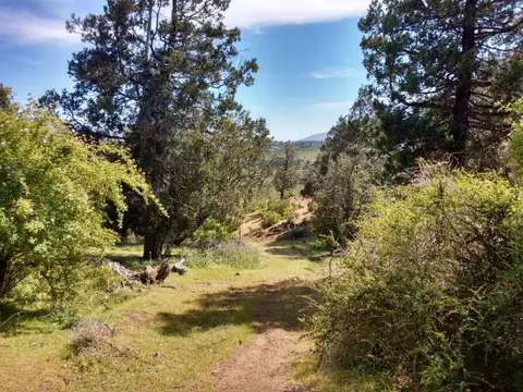FRACCIÓN DE 7,36 has EN EL HOYO CHUBUT
