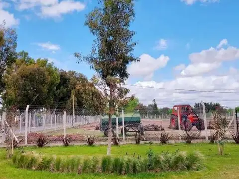 Terreno Lote  en Venta ubicado en Santa Lucia, Pilar del Este, Pilar