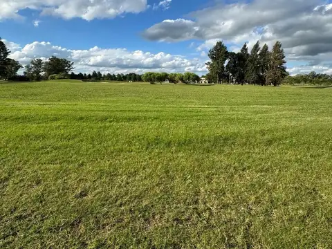 Exaltacion de la cruz