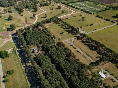 Exaltacion de la cruz