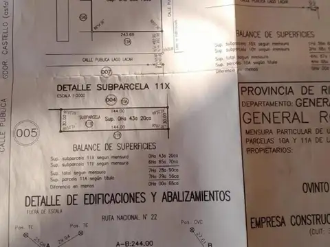 BodegaGeneral Roca 5 ha con Frente a Ruta 22
