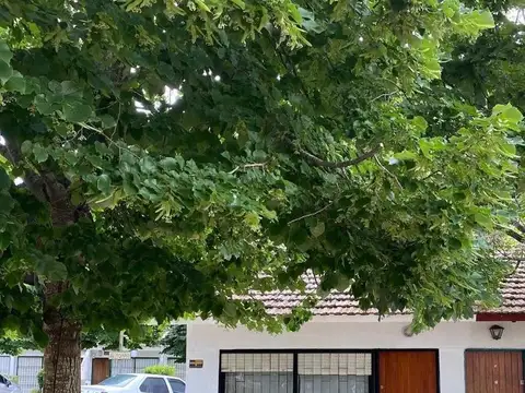 Av. 6  al 3100