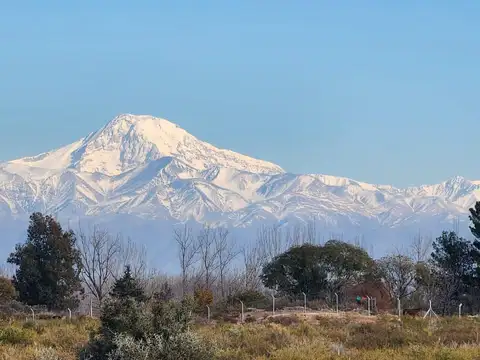 Terreno en Venta de 566,0 m2