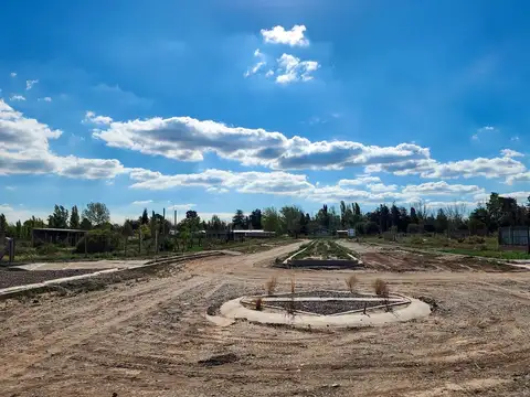 Terreno en El Carrizal