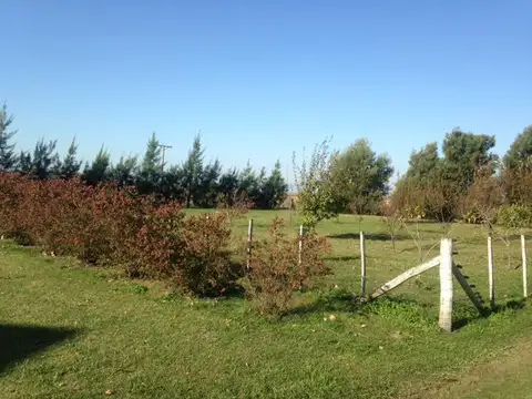 Las Flores, a 7 km de Ruta 3 y 11 km de Ciudad