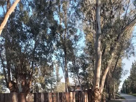 Mgm. Venta Precioso Terreno Barrio Ecoislandia