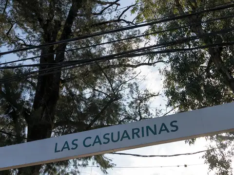 Venta Terrenos en Barrio Parque Las Casuarinas, Del Viso- Pilar