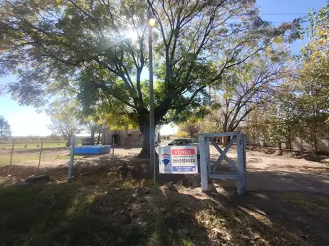 Venta de Finca en La Dormida, Santa Rosa, Mendoza
