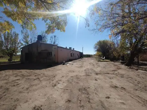 Venta de Finca en La Dormida, Santa Rosa, Mendoza
