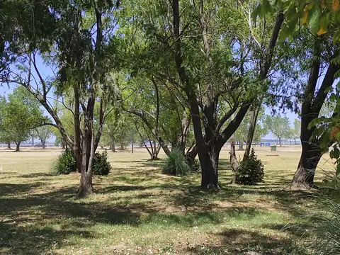 Terreno en Venta 20  mts Frente