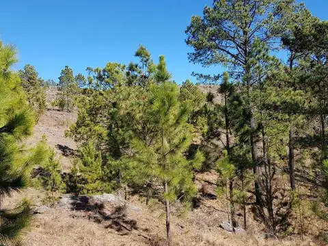 Fracciones en El Durazno, con costa de arroyo. Cód (3110)