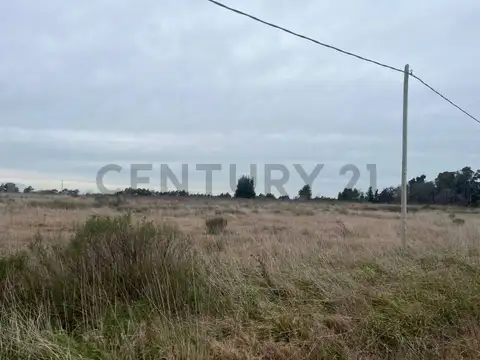 LOTE EN VENTA EN LEZAMA