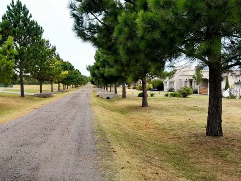 Terreno en Venta en Samborombon, USD 28.000