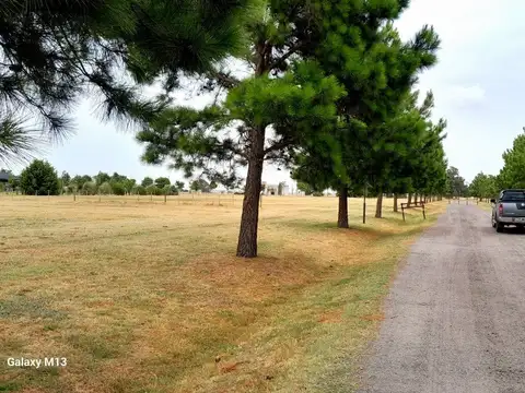 Terreno en Venta de 1750,0 m2