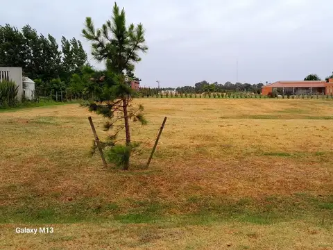 VENTA-LOTE 1750 M2-BARRIO EL MIRADOR-CNEL BRANDSEN